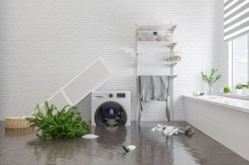 Basement Flooding Services in Riviera Beach, Maryland