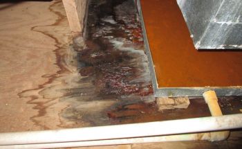 AC Leak Restoration in Finksburg, Maryland by EcoClean Restoration LLC